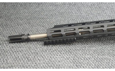PSA/SIG ~ SABRE-15 Custom ~ 5.56 NATO - Image 10 of 10