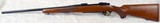Ruger M77 red pad chambered in 7x57 - 6 of 14