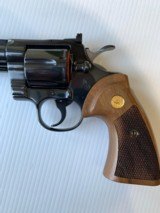 Colt Python 8" Royal Blue - 3 of 9