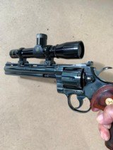 Colt Python Hunter - 3 of 9