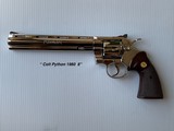 Colt Snakes - 2 of 8