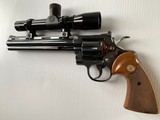 Colt Python Hunter - 5 of 7