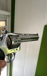 Colt
8