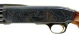Browning BPS Special Field 20 Gauge (S6064) - 6 of 6