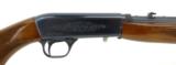 Browning Automatic .22 LR (R16938) - 4 of 8