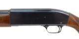 Winchester 50 20 Gauge (W6653) - 5 of 6