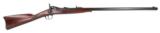 "Springfield Plains Rifle .45-70 (AL3627)" - 1 of 12
