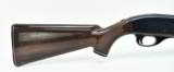 Remington Arms Nylon 66 .22 LR (R18789) - 2 of 7