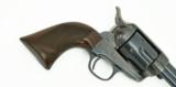 Colt Single Action Black Powder revolver (C11686) - 8 of 8