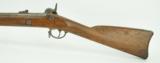 "Springfield US Model 1855 Musket (AL3984)" - 8 of 12