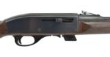 Remington Mohawk 10C .22 LR (R21525) - 2 of 4