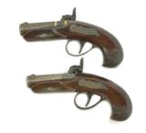 Very Fine Deluxe Henry Derringer Pair Marked N. Curry (AH4518) - 2 of 8