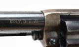 "Colt 1877 Thunderer .41 (C13575)" - 5 of 12