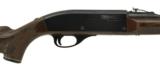 Remington Nylon 66 .22 LR (R22459) - 2 of 4