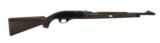 Remington Nylon 66 .22 LR (R22459) - 1 of 4
