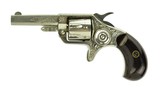 "Factory Engraved Colt New Line 22 (C14634)" - 2 of 12