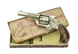 "Factory Engraved Colt New Line 22 (C14634)" - 1 of 12