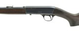 "Remington 24 .22 LR (R23860)" - 4 of 4