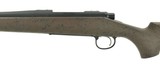 Remington 700 .270 Win (R23863) - 4 of 4