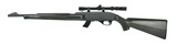 Remington Apache 77 .22 LR (R23919) - 3 of 5