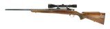 Browning Safari .264 Win Magnum (R23941) - 4 of 5