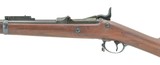 "U.S. Springfield 1884 Cadet .45-70 Rifle (AL4575)" - 5 of 11