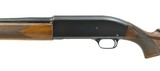 Winchester 50 12 Gauge (W9855) - 4 of 5