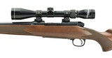 Winchester 70 SA .243 Win (W9892) - 4 of 5