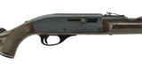 Remington Mohawk Nylon 66 .22 LR (R24205) - 2 of 4
