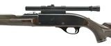 Remington Nylon 66 .22 LR (R24339) - 4 of 4