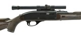 Remington Nylon 66 .22 LR (R24339) - 2 of 4
