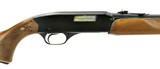 Winchester 270 .22S, L, LR (W9916) - 2 of 4