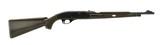 Remington Nylon 66 .22LR (R24463) - 1 of 4