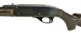 Remington Nylon 66 .22LR (R24463) - 3 of 4