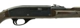 Remington Nylon 66 .22LR (R24463) - 2 of 4