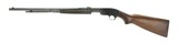 Savage 25 .22 S, L, LR (R23960) - 3 of 7