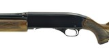 "Winchester 1200 12 Gauge (W9924)" - 4 of 4