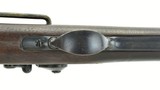 U.S. Springfield Model 1884 Carbine with Model 1890 Sight Protector Band (AL4749) - 8 of 11