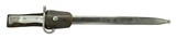 Argentine Model 1891 Bayonet (MEW1874) - 1 of 4