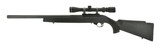  Ruger 10/22 .22 LR (R24951) - 3 of 4