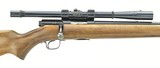 Winchester 43 .22 Hornet (W10069) - 2 of 5