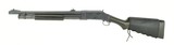 Winchester 1897 12 Gauge
(W10076) - 3 of 6
