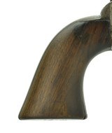 Colt Artillery Single Action .45 (C15259)- 6 of 12