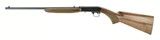 Browning Auto-22 .22 LR (nR24985) New - 3 of 4