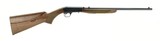Browning Auto-22 .22 LR (nR24985) New - 1 of 4