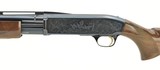Browning BPS 20 Gauge (S10556) - 4 of 4
