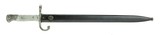 Argentine Model 1891 Bayonet (MEW1896) - 1 of 8