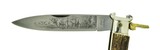 "Falcon Stag Handled Large Folding Hunting Knife (K2118)" - 4 of 4