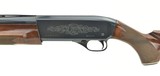 Winchester Super-X Model 1 12 Gauge (W10185) - 4 of 4