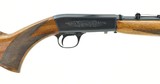 Browning Auto .22 Short (R25400) - 4 of 4